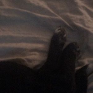 Meet your Posher, Halle